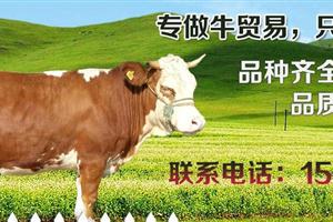 公司简介配图