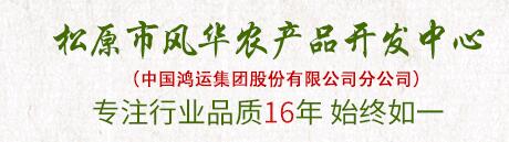 公司简介配图
