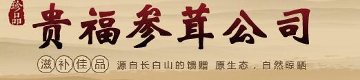 公司简介配图