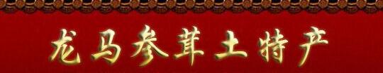 公司简介配图