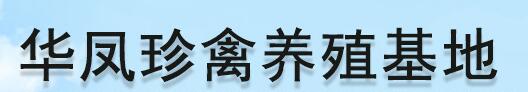 公司简介配图