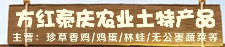 公司简介配图